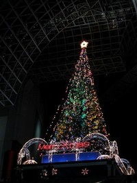 京都駅のクリスマスツリー