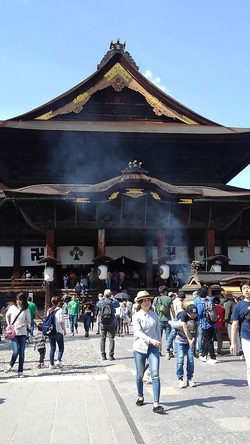 善光寺の本堂( 2019.05.05 )by二へドン 善光寺の本堂( 2019.05.05 )by二へドン