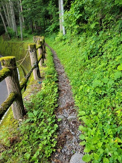 鳥居峠に行く道by二へドン 鳥居峠に行く道by二へドン