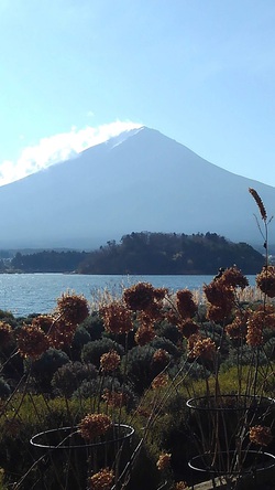 2020年12月大石公園から見る富士山その2