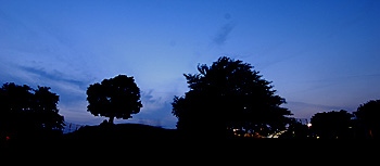 夕刻の丘
