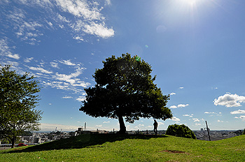 爽やかな秋空に希望を