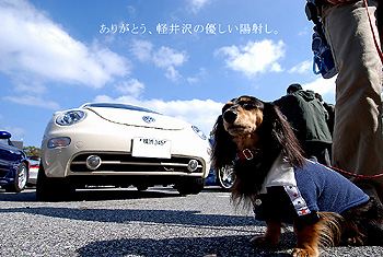 オープンカーの祭典『秋軽2009』