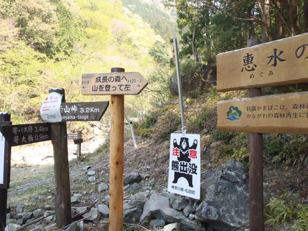 丹沢・寄から雨山峠へ、静かな山歩きを楽しめるコース
