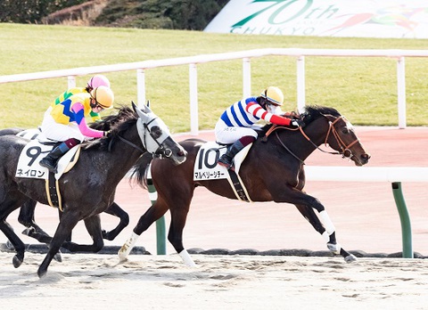 マルベリーシチー (ベルミュールの20) 初勝利~一口馬主 友駿ホースクラブ愛馬会出資馬 マルベリーシチー (ベルミュールの20) 初勝利~一口馬主 友駿ホースクラブ愛馬会出資馬