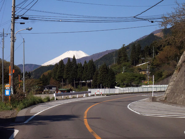 道志村トレイルレースの試走、コース後半