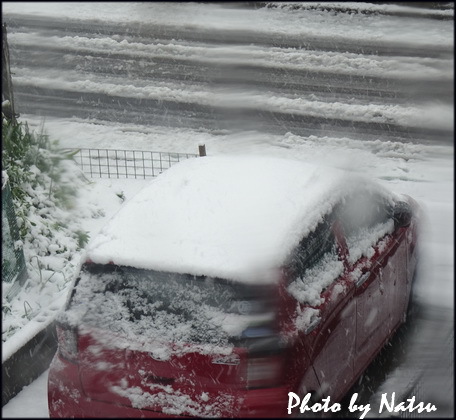 春の雪 春の雪