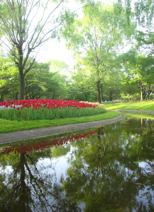 2009GWの昭和記念公園