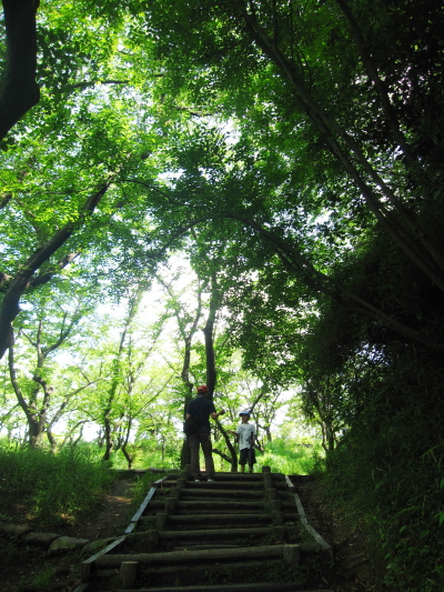 久良岐公園～里山の風情