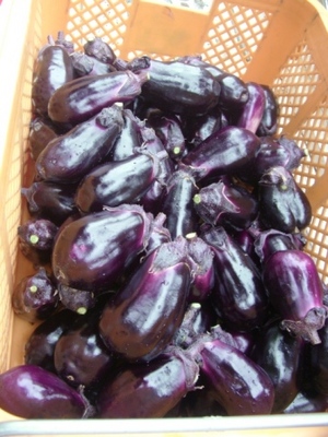 サラダ紫のスープ