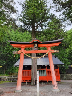 鎮神社の鳥居by二へドン 鎮神社の鳥居by二へドン