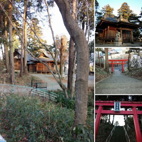自宅付近にある沢山の神社に、なんとなく「ハッピー」を感じた朝でした 自宅付近にある沢山の神社に、なんとなく「ハッピー」を感じた朝でした
