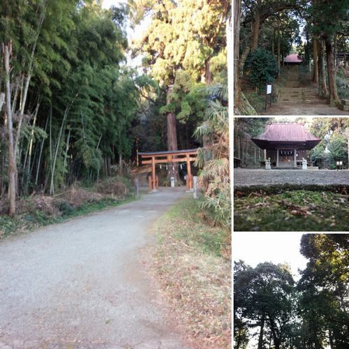 自宅付近にある沢山の神社に、なんとなく「ハッピー」を感じた朝でした 自宅付近にある沢山の神社に、なんとなく「ハッピー」を感じた朝でした