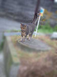 おはよぉ~