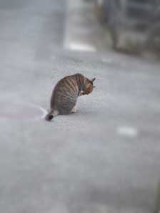 おはよぉ~