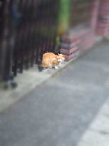 おはよぉ~
