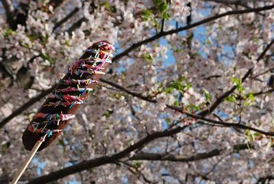 弘明寺の桜まつり