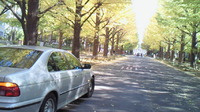 yellow brick road in 慶応日吉キャンパス