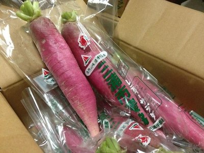 ヨコハマヤサイ 横浜の地産地消関連情報 旬の野菜情報を発信 三浦産レディサラダが入荷しました