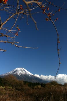 富士山三昧