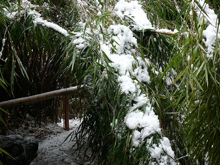 雪の三溪園