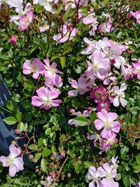 山下公園でまどろむ