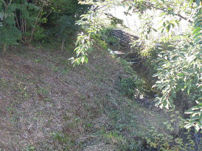 真光川　上流部②