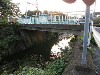 帷子川の徒橋