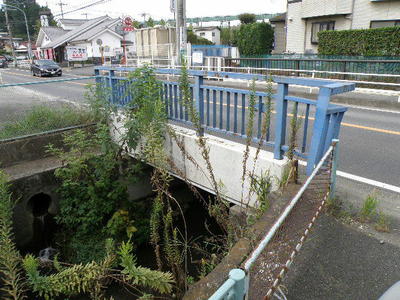 帷子川の大貫橋