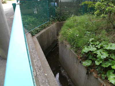 砂田川の源流域