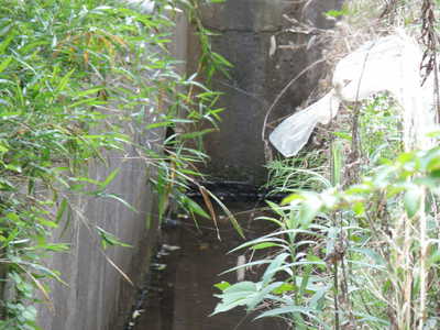 砂田川の源流域