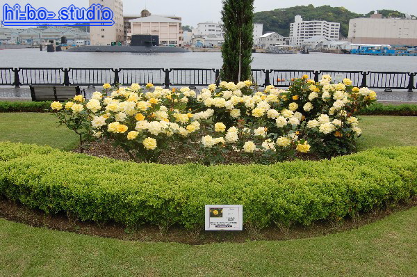 ヴェルニー公園 （横須賀市）