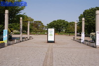 神奈川県立相模原公園（相模原市）