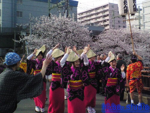 第15回　大岡川　桜まつり（中区～南区）