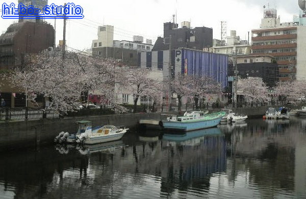 第１８回大岡川桜まつり（都橋・福富町西公園）