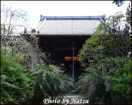 萩の寺宝戒寺