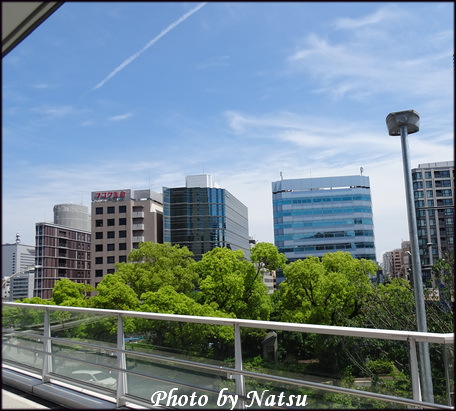 横浜市庁舎と周辺の街並み