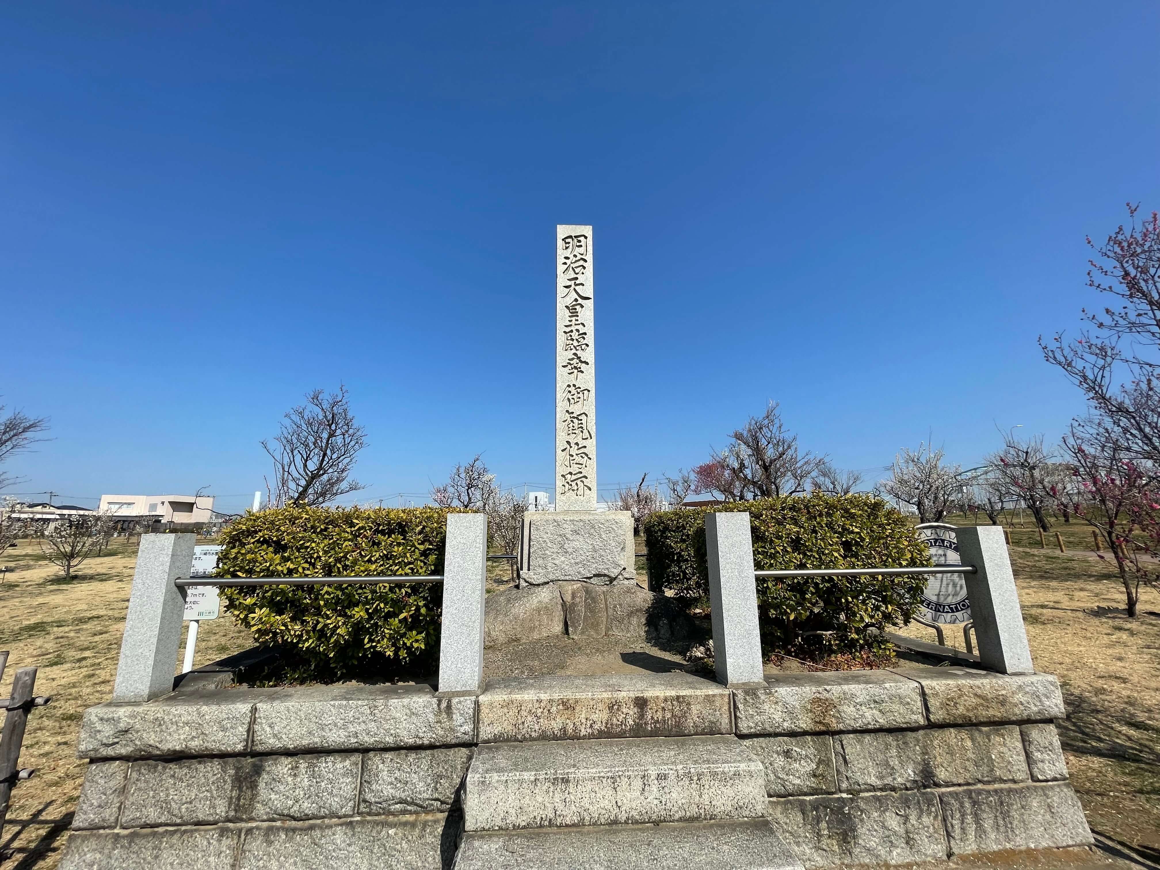 【川崎市・幸区】　親子で楽しめる！梅をみながら子供も遊べる公園～御幸公園