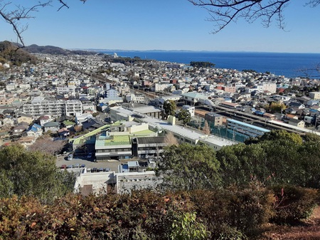 山頂の空も喜ぶ真弓の実