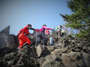 江戸桜仰げば開く笑顔かな