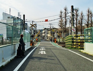 江戸桜仰げば開く笑顔かな