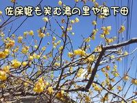 佐保姫も笑む湯の里や奥下田