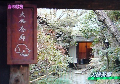 １９位　「大佛茶廊」