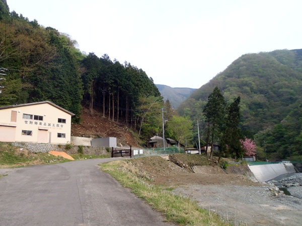 山梨県と神奈川県の県境の山、甲相国境尾根