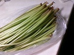 ふきの炒り煮で一杯！