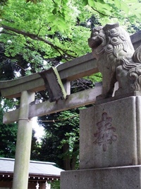 100630　夏越大祓