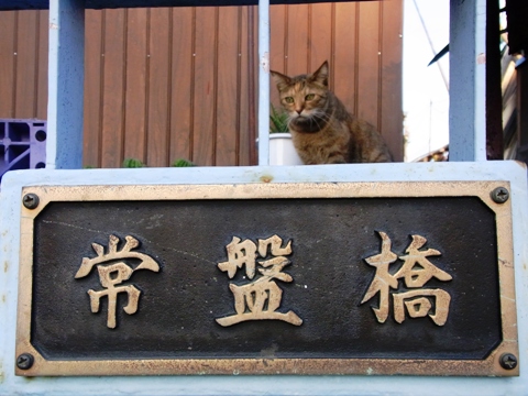 101015　浦島町 界隈