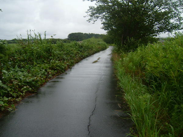 狭い堤防道路、北１３４号線