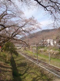 咲くRUN状態♪