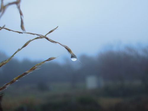 朝のお散歩より。。。